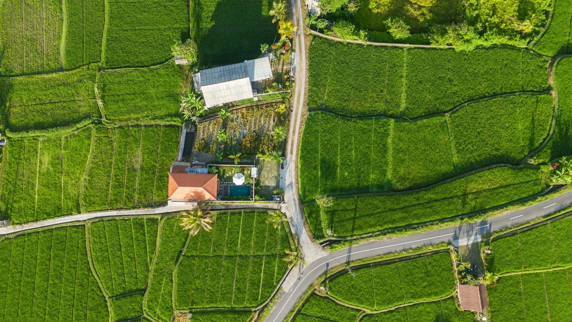 Wisana Villa Sebatu By Uniquecations Ubud  Indonesia