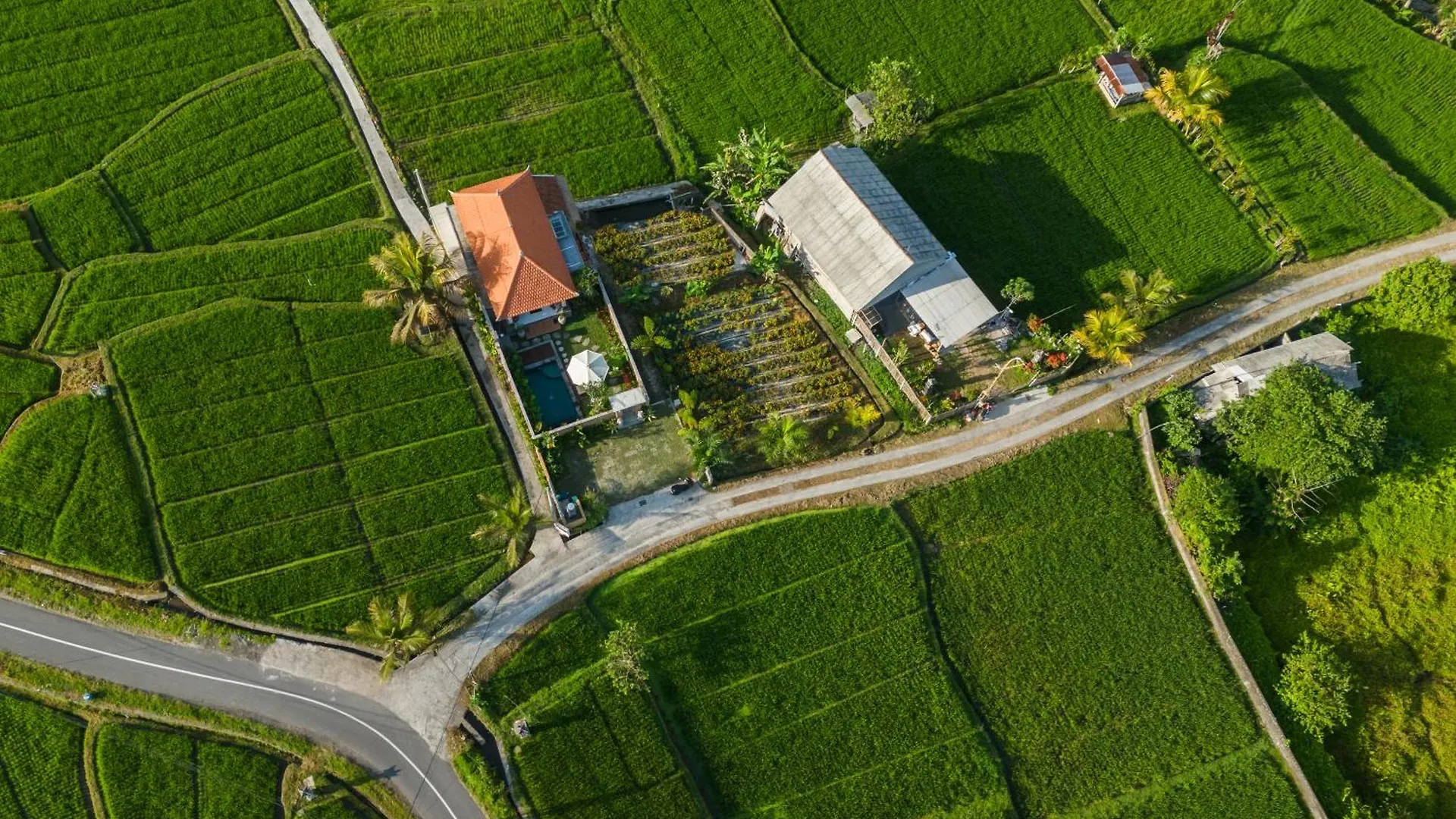 Wisana Villa Sebatu By Uniquecations Ubud  Indonesia